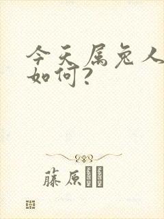 今天属兔人财运如何?