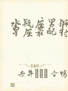 水瓶座男狮子女星座最配对