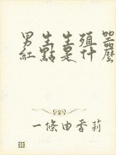 男生生殖器上长红点是什么引起的