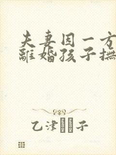 夫妻因一方出轨离婚孩子抚养权怎么判定