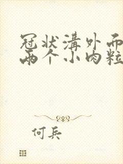 冠状沟外面长了两个小肉粒