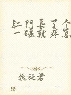 肛门长了个硬包一碰就疼怎么治疗