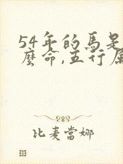 54年的马是什么命,五行属性封面