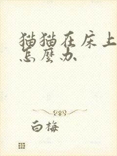 猫猫在床上拉尿怎么办封面