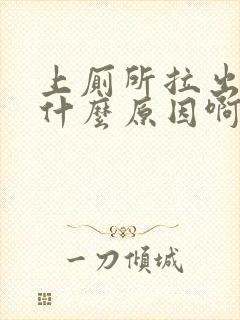 上厕所拉出血是什么原因啊