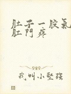 肚子一股气顶着肛门疼封面