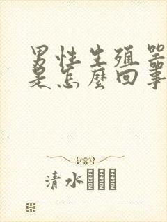 男性生殖器异味是怎么回事