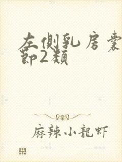 左侧乳房囊性结节2类