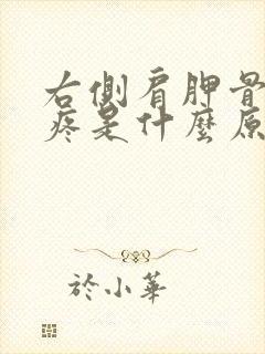 右侧肩胛骨后背疼是什么原因引起的