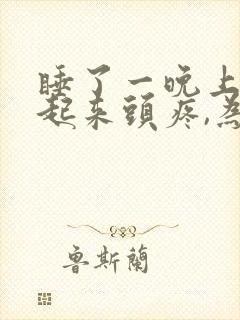 睡了一晚上早晨起来头疼,为什么?