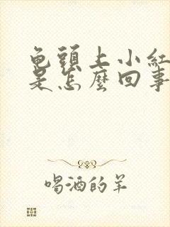 龟头上小红疙瘩是怎么回事