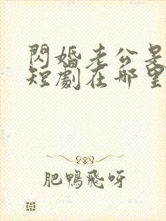 闪婚老公是总裁短剧在哪里免费看