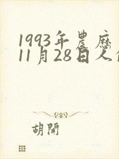 1993年农历11月28日人的命运封面