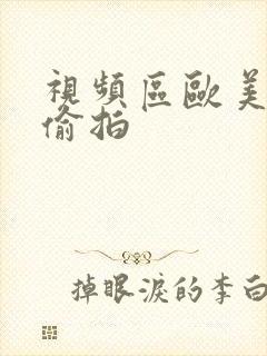 视频区欧美日韩偷拍