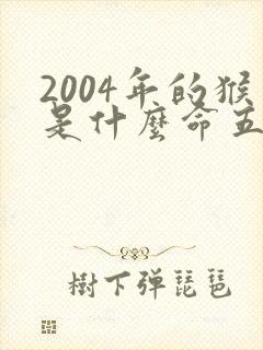 2004年的猴是什么命五行属性