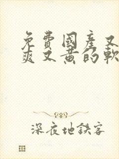 免费国产又色又爽又黄的软件