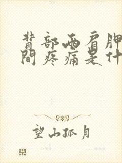 背部两肩胛骨中间疼痛是什么原因引起的