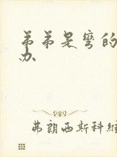 弟弟是弯的怎么办封面