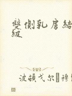 双侧乳房结节3级