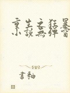 重生之狂暴火法小说无弹窗