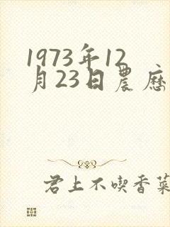 1973年12月23日农历命运封面