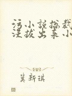 污小说总裁整夜没拔出来小说在线阅读