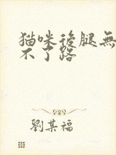 猫咪后腿无力走不了路