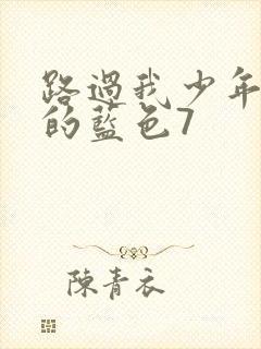 路过我少年时光的蓝色7