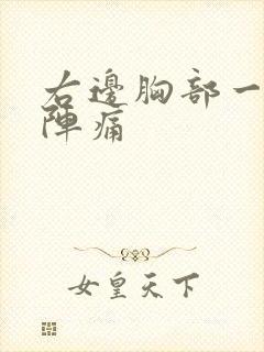 右边胸部一阵一阵痛封面