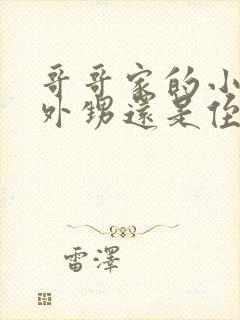 哥哥家的小孩是外甥还是侄子