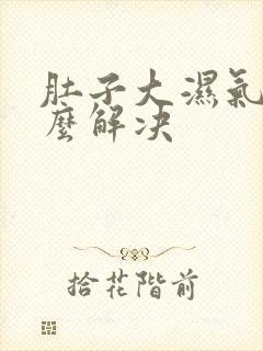 肚子大湿气重怎么解决