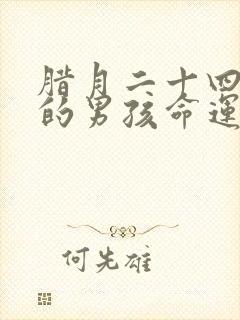 腊月二十四出生的男孩命运