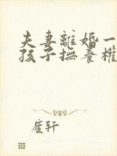 夫妻离婚一个男孩子抚养权怎么判定