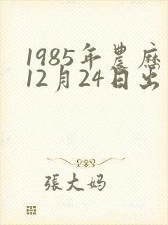 1985年农历12月24日出生的命运怎样