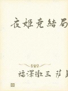 夜姬尧结局封面