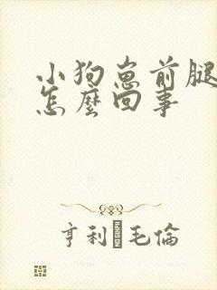 小狗崽前腿弯是怎么回事