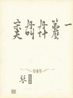 宋丹丹第一任丈夫叫什么