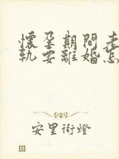 怀孕期间老公出轨要离婚怎么处理封面