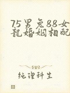 75男兔88女龙婚姻相配吗