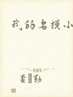 我的名模小娇妻