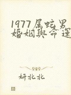 1977属蛇男婚姻与命运