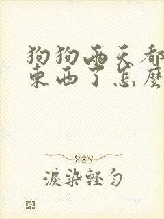 狗狗两天都不吃东西了怎么办?封面
