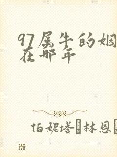 97属牛的姻缘在哪年