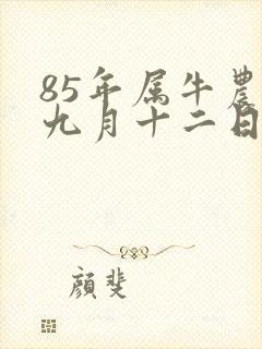 85年属牛农历九月十二日出生的命运封面