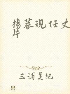 杨蓉现任丈夫照片