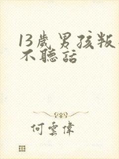 13岁男孩叛逆不听话