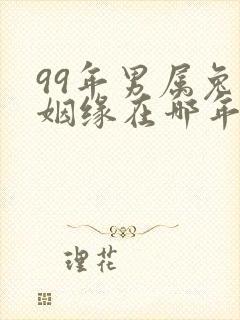 99年男属兔的姻缘在哪年
