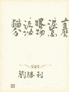 猫流眼泪有黄色分泌物怎么回事封面