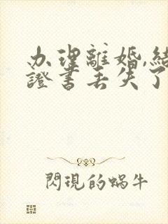 办理离婚,结婚证书丢失了怎么办