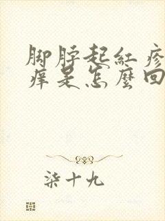 脚脖起红疹子很痒是怎么回事